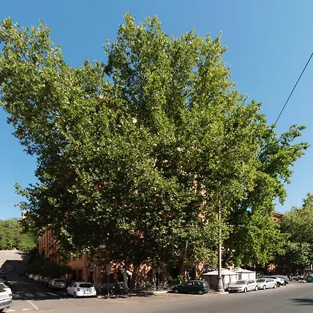 Piazza Nievo A Trastevere Cozy 公寓